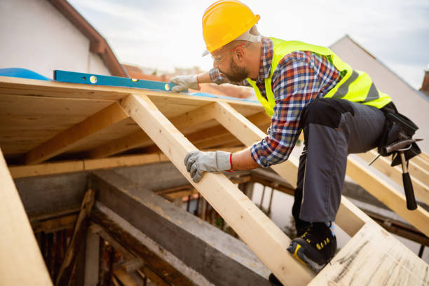 Best Roof Gutter Cleaning  in Wakeeney, KS